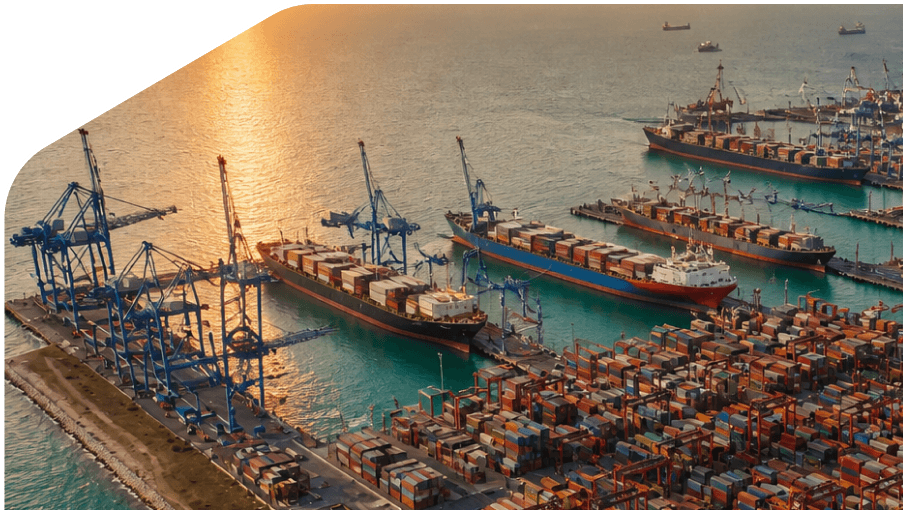 Rental of 20ft and 40ft Shipping Containers in Ambarli (Turkey)